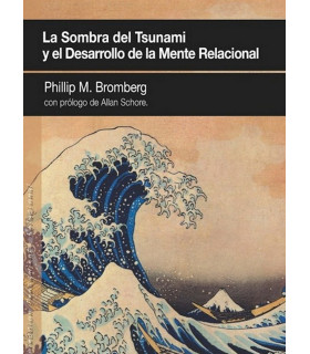 LA SOMBRA DEL TSUNAMI y el desarrollo de la mente relacional 9788494255960 Ágora Relacional 22,80 €