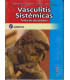 Vasculitis Sistemicas. Toma de Decisiones