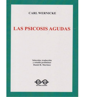 LAS PSICOSIS AGUDAS. CARL WERNICKE 9789879083765 Salerno Editorial 22,80 €