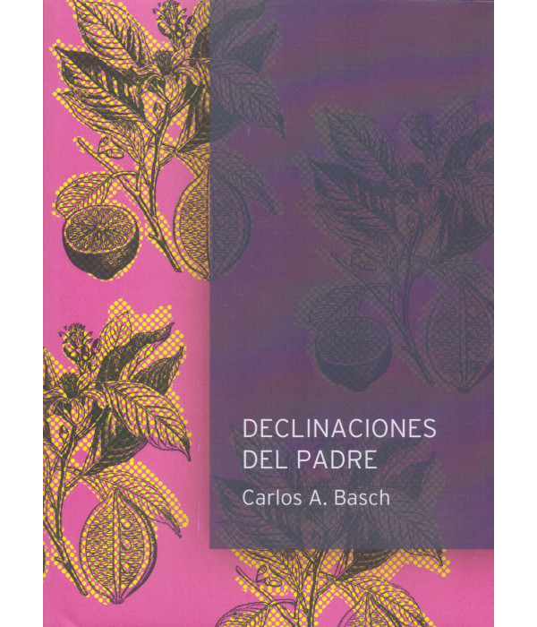 DECLINACIONES DEL PADRE 9789874816733 Otro Cauce 14,25&nbsp;&euro;